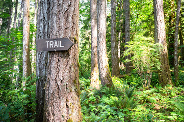 Sign for a trail in a forest on Vancouver Island.