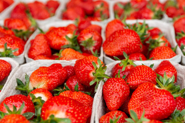 fruity sweet red strawberries at a fruit and vegetable market