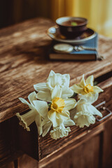 Fototapeta premium Retro composition of daffodils. Still life.