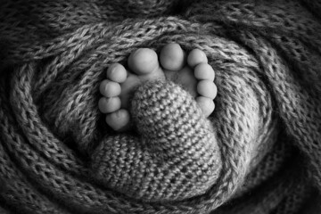 Legs, toes, feet and heels of a newborn Knitted heart in baby's legs Black white
