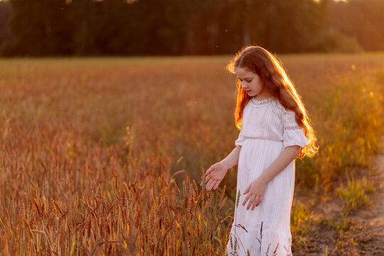 Cute girl touching rye or wheat sprouts in a field on sunset.