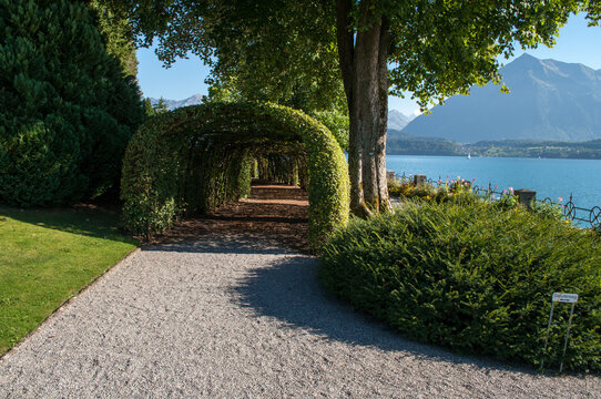 The landscape around Lake Thunersee in Switzerland