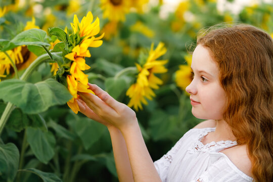 little curly girl with sunflowers in summer field