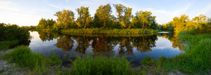 quiet summer river with forest on coast, summer outdoor landscape