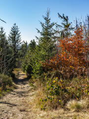 Autumn mountain path while hiking in Gorce
