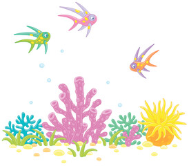 Fototapeta na wymiar Merry colorful fishes and tropical corals on a reef in a southern sea, vector cartoon illustrations isolated on a white background