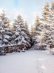 Bright sun in the mountains