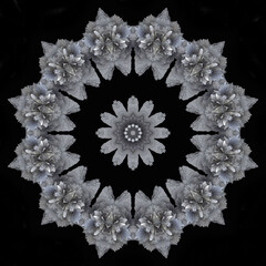 Downy feather pattern creative ornament design dark background