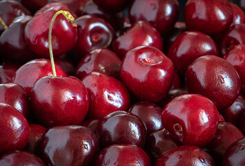 Red ripe sweet cherries close up. Natural fruit background