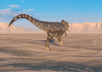 giganotosaurus is running on sunset desert rear view