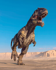 giganotosaurus is running on sunset desert © DM7