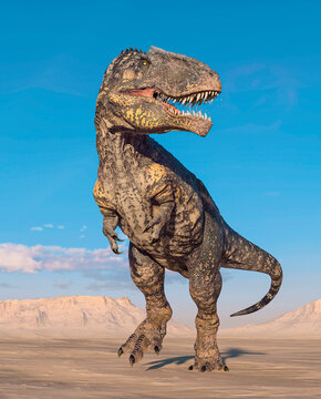giganotosaurus is standing up on sunset desert