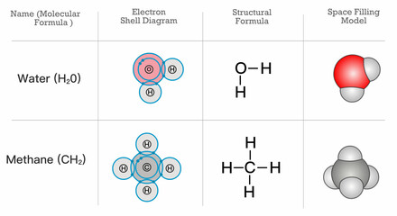 H2O, CH2. Structural chemical formula model. Water, methane anatomy. Electron shell diagram, space filling model, molecular drawing symbols. Elements, atom molecule arrangement. Illustration vector