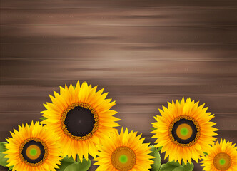 Sunflower Realistic Background