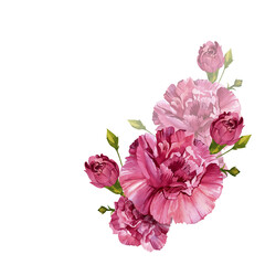 Bouquet of carnations. Pink burgundy flowers. Vintage watercolor illustration isolated on white background.