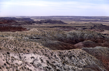 Obraz premium Arizona Petrified Forest - Whipple Point Vista
