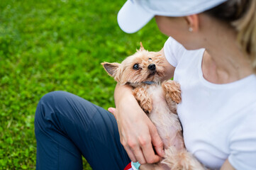 Young woman in park sitting on grass with her cute little Yorkshire Terrier, carrying  it as a baby on her chest. Sporty female spending time outdoor with a dog.