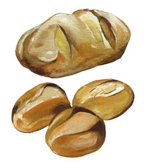 Watercolor Hand Drawn French Bread Loafs Baguette Set Illustration