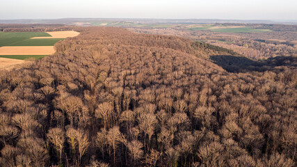 Panorama aérien d’une forêt dense survolée en hiver.