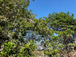 Mexiko Huatulco Urlaub