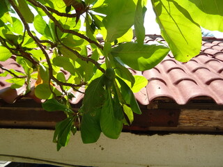 Mexiko Huatulco Urlaub