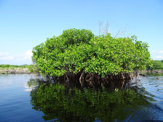 Mexiko Huatulco Urlaub