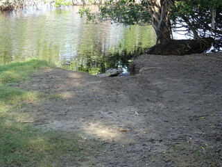 Mexiko Huatulco Urlaub