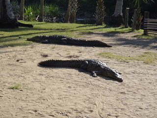 Mexiko Huatulco Urlaub