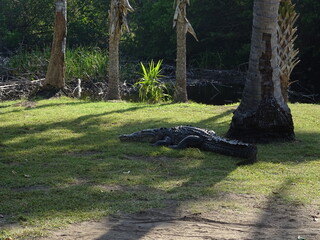 Mexiko Huatulco Urlaub