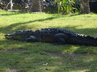 Mexiko Huatulco Urlaub