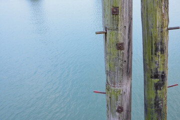 Heavy wood dolphin, pile mooring