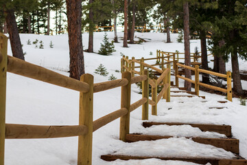wooden fence in winter