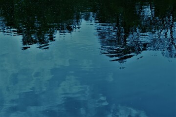 Obraz na płótnie Canvas reflection of trees in water