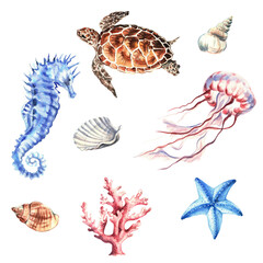 Set of marine animals and shells. Underwater objects isolated on white background. Hand drawn watercolour. Clip art. For posters, T-shirts, textile and ceramic souvenirs, postcards, stickers