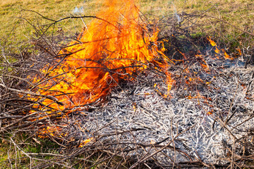 A pile of dry tree branches burns with a bright flame. Waste incineration in summer cottages