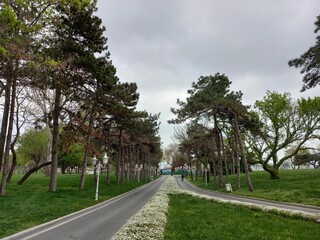 road in the park