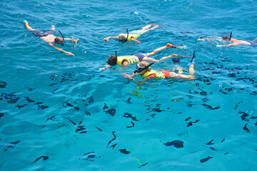 Feeding fish while on a snorkeling tour in the ocean off the coast of Oahu near Koolina in Hawaii. 