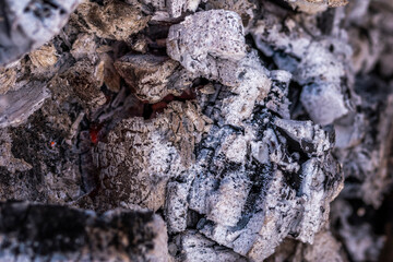 Close up shot of burning wood and charcoal used for barbeque