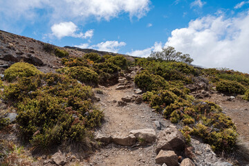 hiking trail along highway at haleakala national park