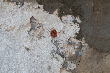 Old shabby plastered wall