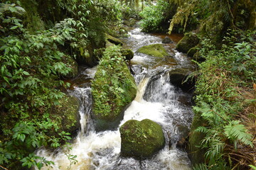 Río con aguas cristalinas en la montaña