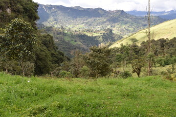 Paisaje de montaña con prados verdes