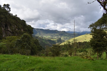 Paisaje verde de montaña