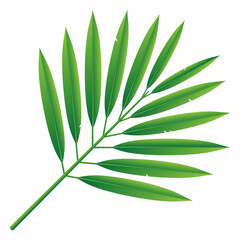 green leaf isolated on white background