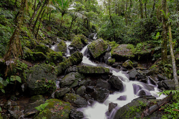 Naklejka na ściany i meble Rocky Waterfall in the El Yunque rain forest of Puerto Rico