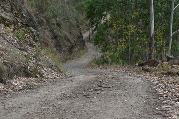 Carretera veredal Colombia