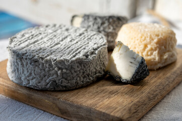 French goat cheeses crottin and selles-sur-cher served with view on boats in harbor of Cassis, Provence, France