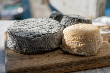 French goat cheeses crottin and selles-sur-cher served with view on boats in harbor of Cassis, Provence, France