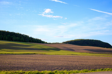 Fototapeta na wymiar landscape with sky and green grass