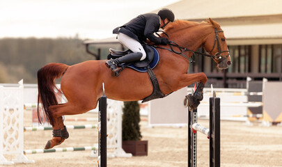 Equestrian sport - man is riding a horse. Jockey on brown horse overcomes an obstacle. Jumping...